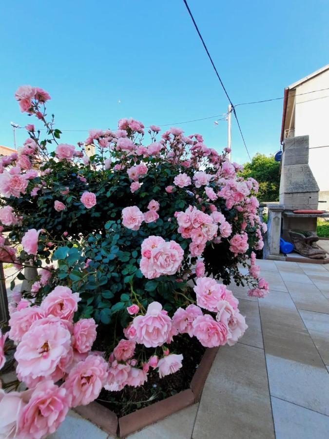 Lana 1 Hotel Senj  Luaran gambar